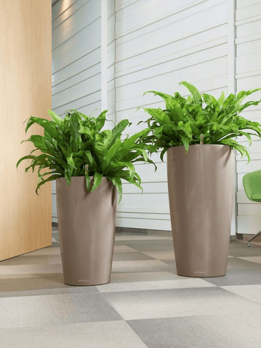 Ghiveci LECHUZA Premium Rondo Taupe 40 x 75 [3]