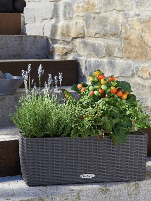 Ghiveci LECHUZA Balconera Cottage Granit 50 x 19 / 19 [3]