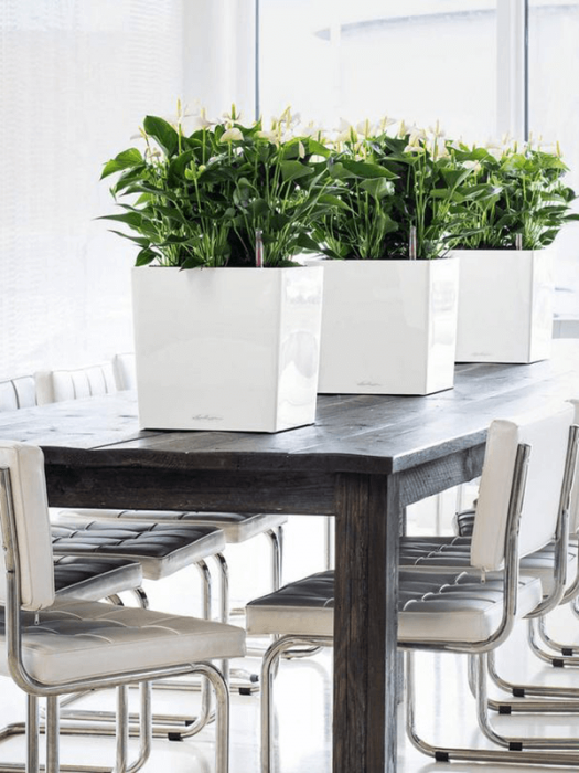 Ghiveci LECHUZA Premium Cube Alb 30 x 30 x 30 [3]