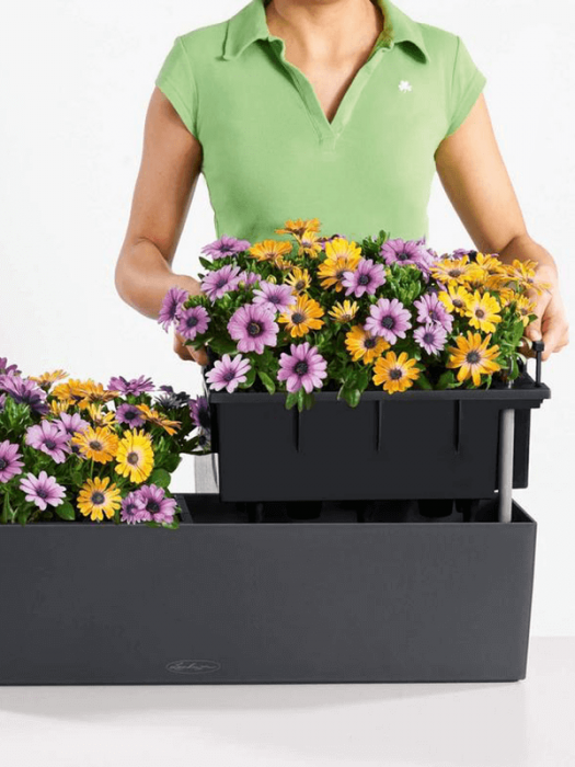 Ghiveci LECHUZA Balconera Color Ardezie 80 x 19 / 19 [3]