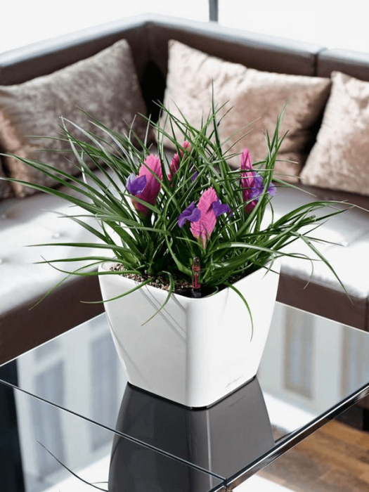 Ghiveci LECHUZA Premium Quadro LS Alb 21 x 21 x 20 [3]