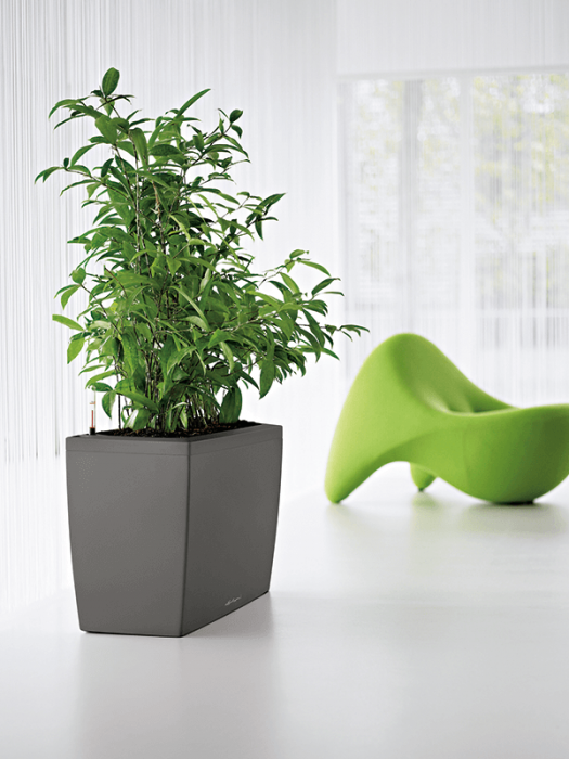 Ghiveci LECHUZA Premium Cararo Antracit 75 x 30 x 43 [3]