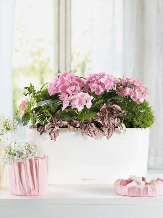 Ghiveci LECHUZA Premium Delta Alb 40 x 15 / 18 [3]