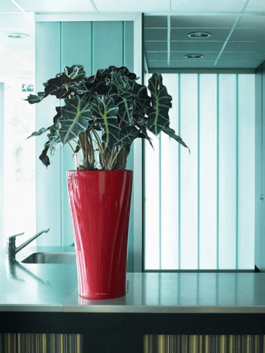 Ghiveci LECHUZA Premium Delta Roșu 30 x 56 [2]