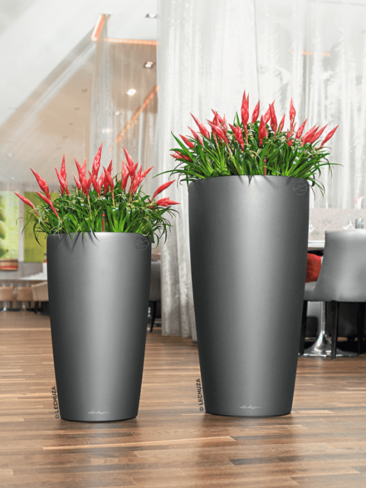 Ghiveci LECHUZA Premium Rondo Antracit 32 x 56 [3]