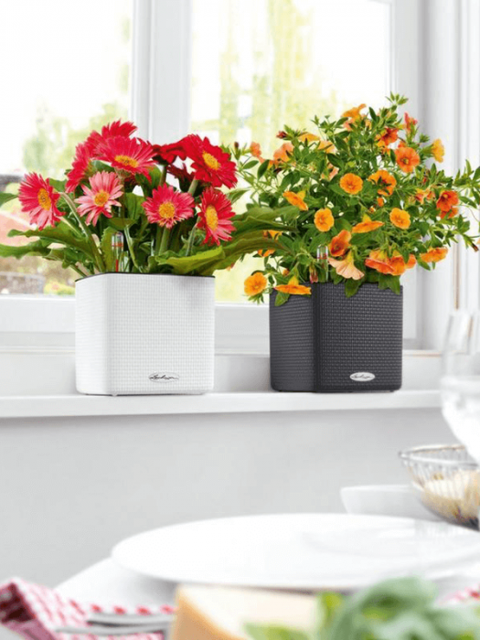 Ghiveci LECHUZA Cube Color Ardezie 14 x 14 / 14 [3]