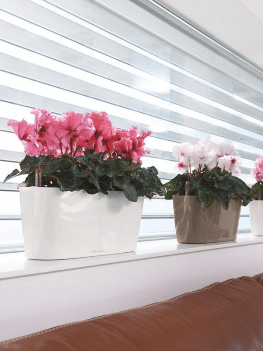 Ghiveci LECHUZA Premium Delta Alb 30 x 10 / 13 [3]