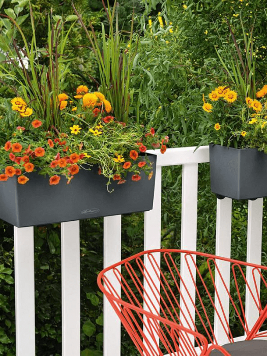 Ghiveci LECHUZA Ardezie 50 x 19 / 19 [3]