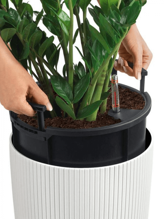 Ghiveci LECHUZA Cilindro Alb 23 x 41 [3]