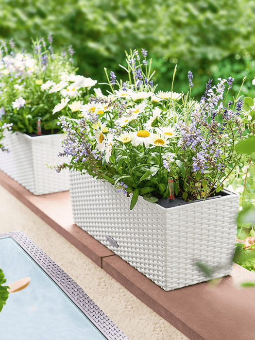 Ghiveci LECHUZA Balconera Cottage Alb 50 x 19 / 19 [3]
