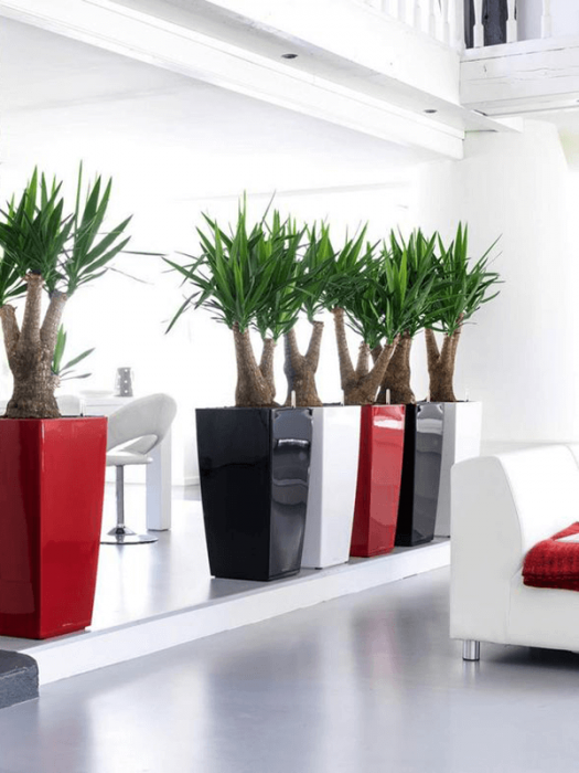 Ghiveci LECHUZA Premium Cubico Roșu 40 x 40 / 75 [3]