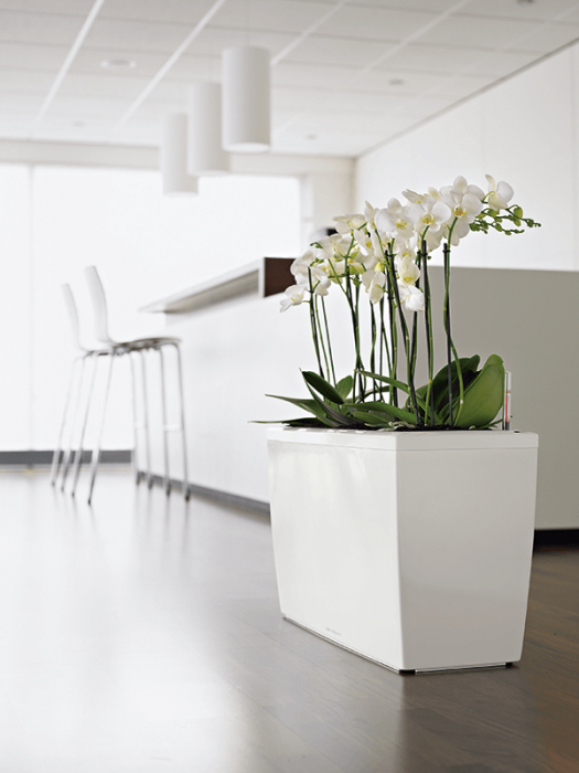 Ghiveci LECHUZA Premium Cararo Alb 75 x 30 / 43 [4]