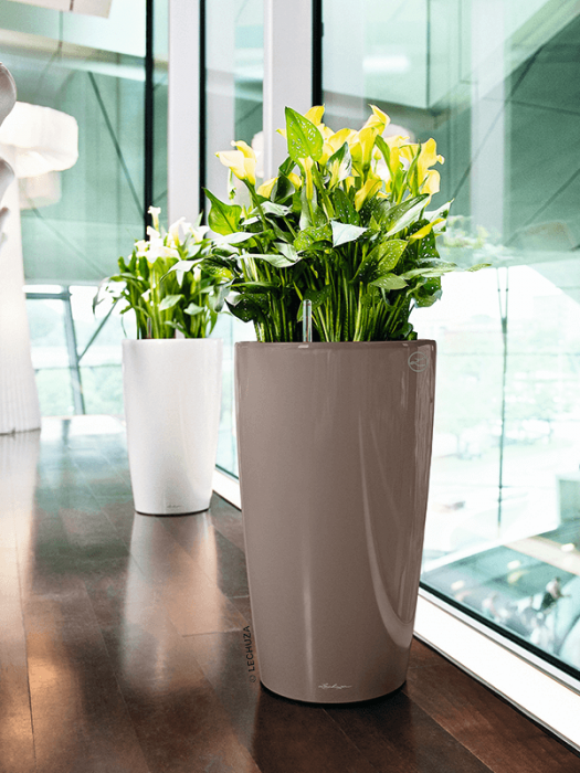 Ghiveci LECHUZA Premium Rondo Taupe 32 x 56 [4]