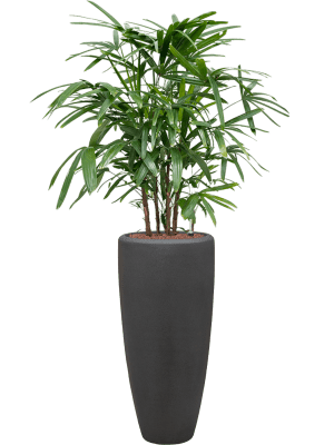 Ghiveci POLYSTONE ROCKWELL Smoke (cu liner) 30 x 70 [3]