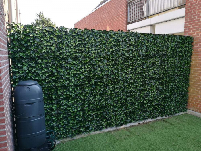 Hedera Helix (Iedera) - rezistență la foc clasa C [7]