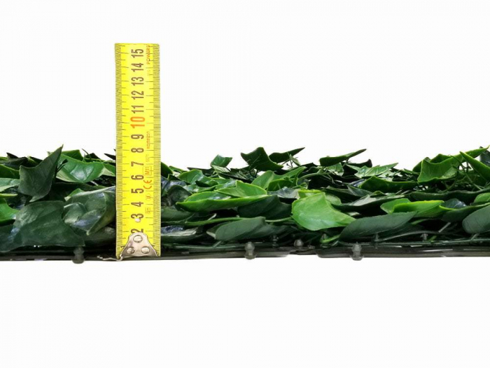 Hedera Helix (Iedera) - rezistență la foc clasa C [6]