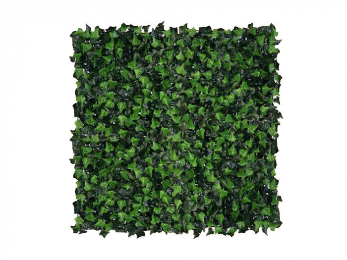 Hedera Helix (Iedera) - rezistență la foc clasa C [4]