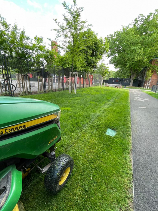 Intretinere gradini [4]