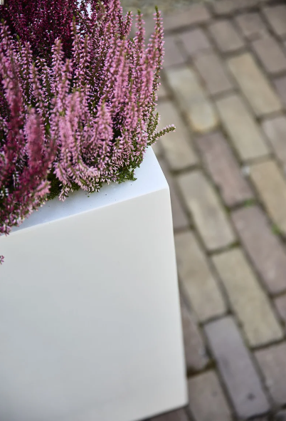 Jardinieră ARGENTO Small Box 80 [2]