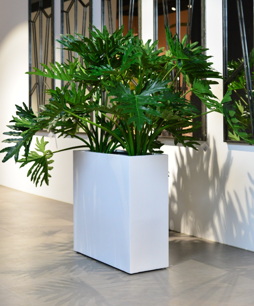 Jardinieră dreptunghiulară ARGENTO 90 [2]