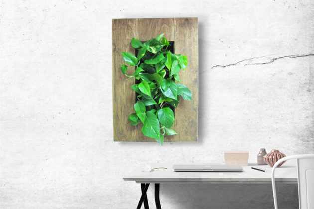 Kit pentru tablouri vii [14]