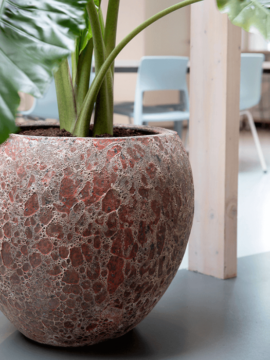 Ghiveci LAVA Baloon Relic pink 49 x 43 [3]