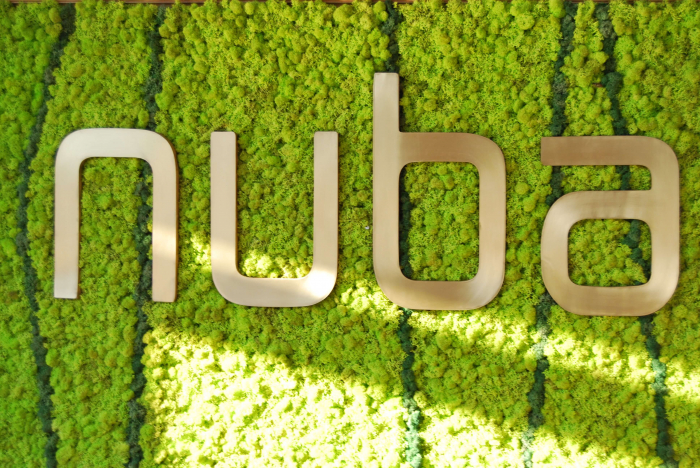 Licheni decorativi [2]