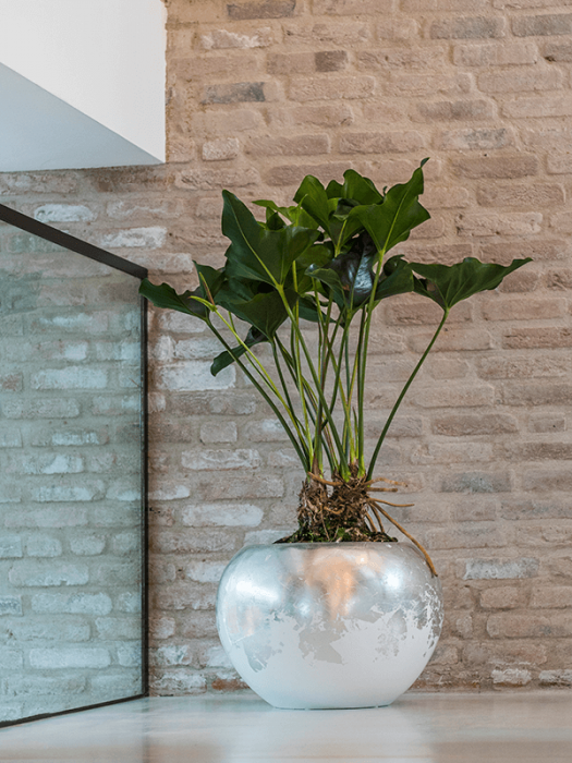 Ghiveci LUXE LITE GLOSSY alb-argintiu 45 x 32 [2]