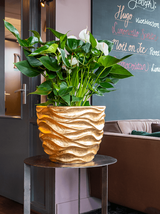 Ghiveci LUXE LITE GLOSSY SEA auriu 40 x 30 [2]