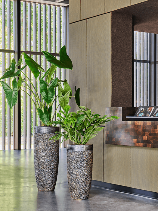 Ghiveci LUXE LITE UNIVERSE LAYER bronz 33 x 70 [2]