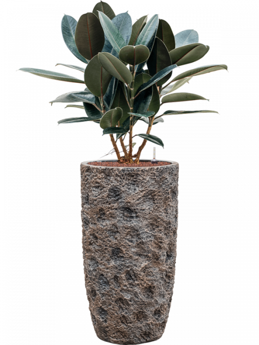 Ghiveci LUXE LITE UNIVERSE MOON bronz 38 x 69 [2]