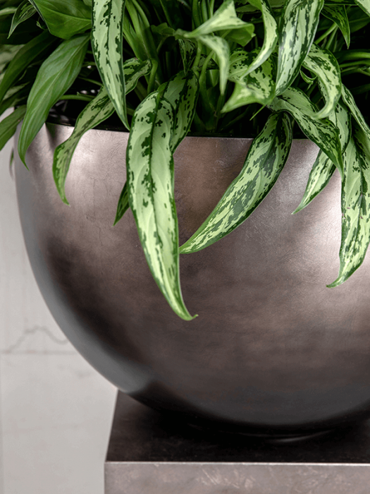 Ghiveci METALLIC SILVER LEAF matt coffee 45 x 27 [3]