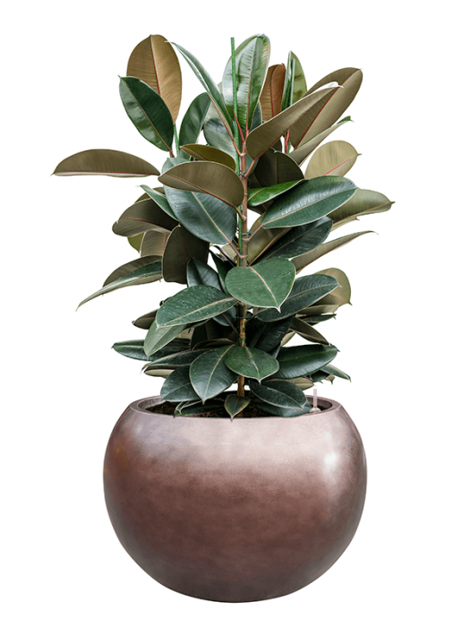 Ghiveci METALLIC SILVER LEAF matt coffee (cu liner) 50 x 37 [2]