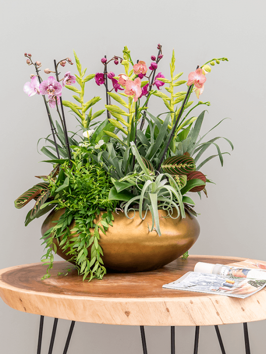 Ghiveci METALLIC SILVER LEAF matt honey 40 x 15 [2]