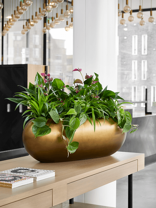 Ghiveci METALLIC SILVER LEAF matt honey 56 x 23 / 20 [3]