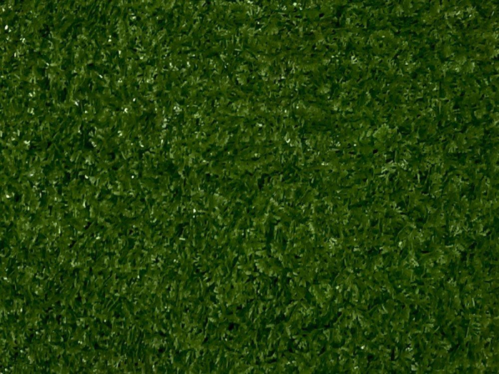 Mușchi coada șoricelului [2]