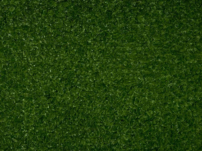 Mușchi coada șoricelului [3]