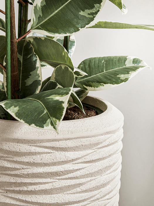 Ghiveci POLYSTONE SEASIDE natural (cu liner) 50 x 120 [4]