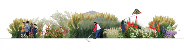 Proiectare gradini [3]