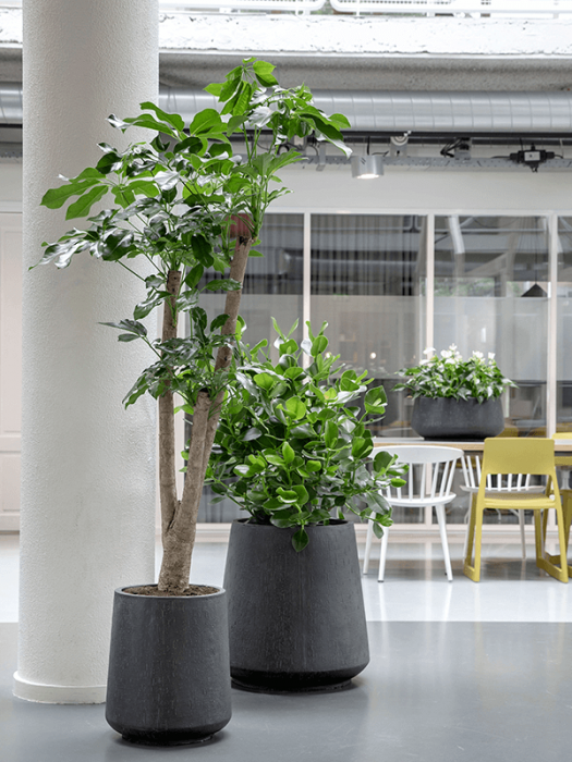 Ghiveci RAINDROP antracit 37 x 42 [3]