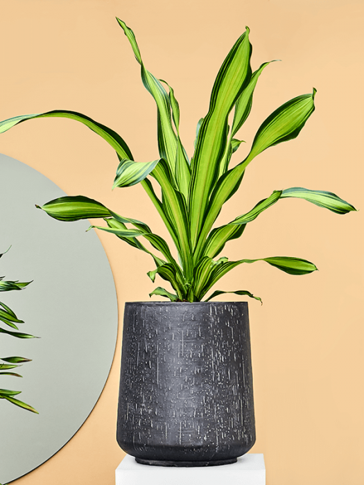 Ghiveci RAINDROP antracit 41 x 37 [2]