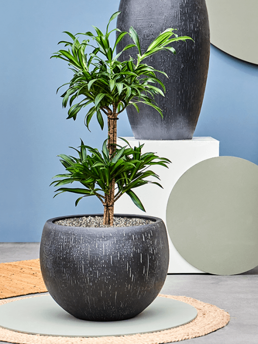 Ghiveci RAINDROP antracit 42 x 30 [2]