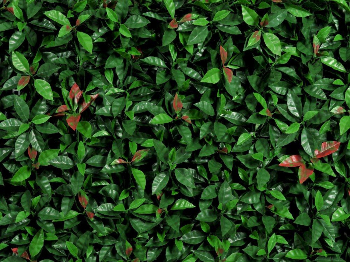 Red Robin - rezistență la foc clasa C [3]