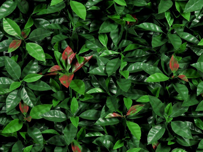 Red Robin - rezistență la foc clasa C [2]