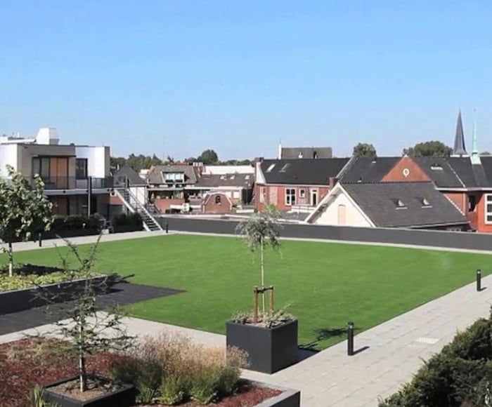 Royal Grass® Elite [5]