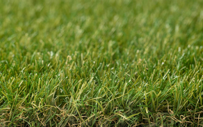 Royal Grass® Sense [3]