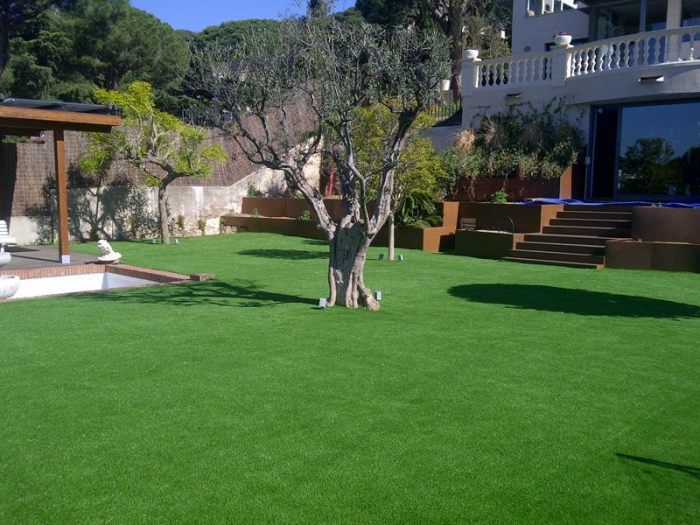 Royal Grass® Silk 35 [3]