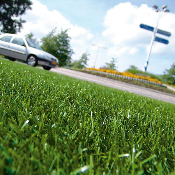 Royal Grass® Silk 35 [5]