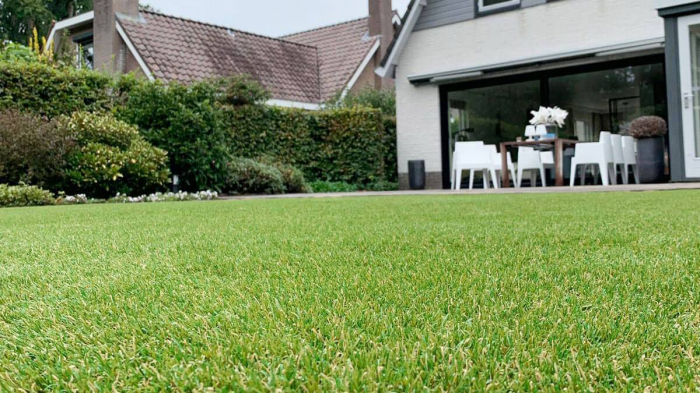 Royal Grass® Aura [3]