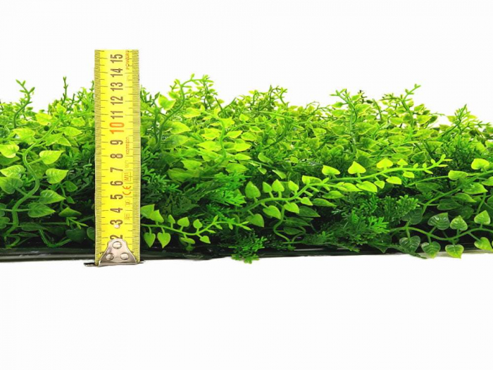 Vegetație moringa – rezistență la foc clasa C [3]